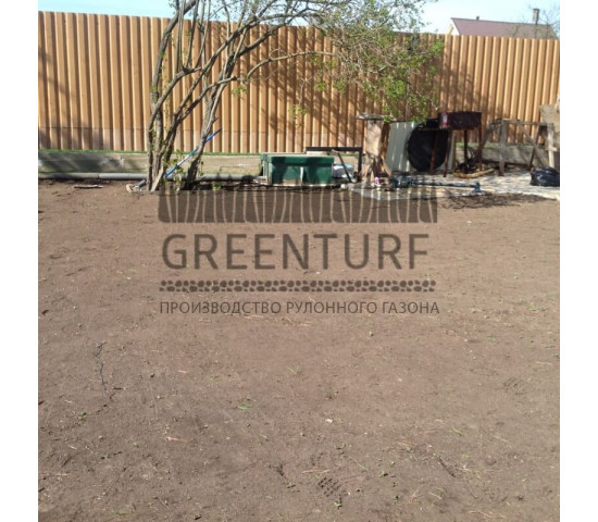 Укладка рулонного газона, сорт «Партерный» - фото - 4